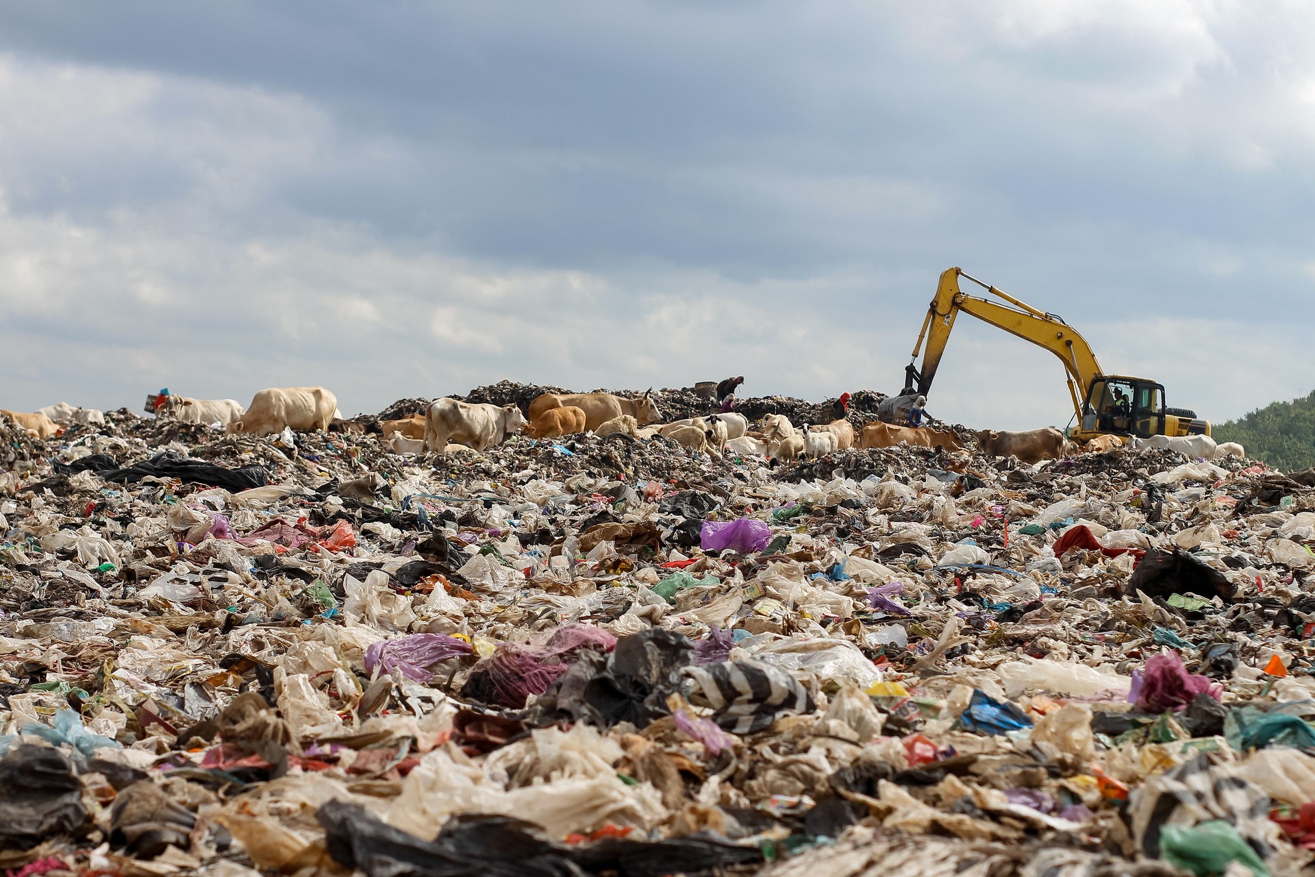 landfill basin